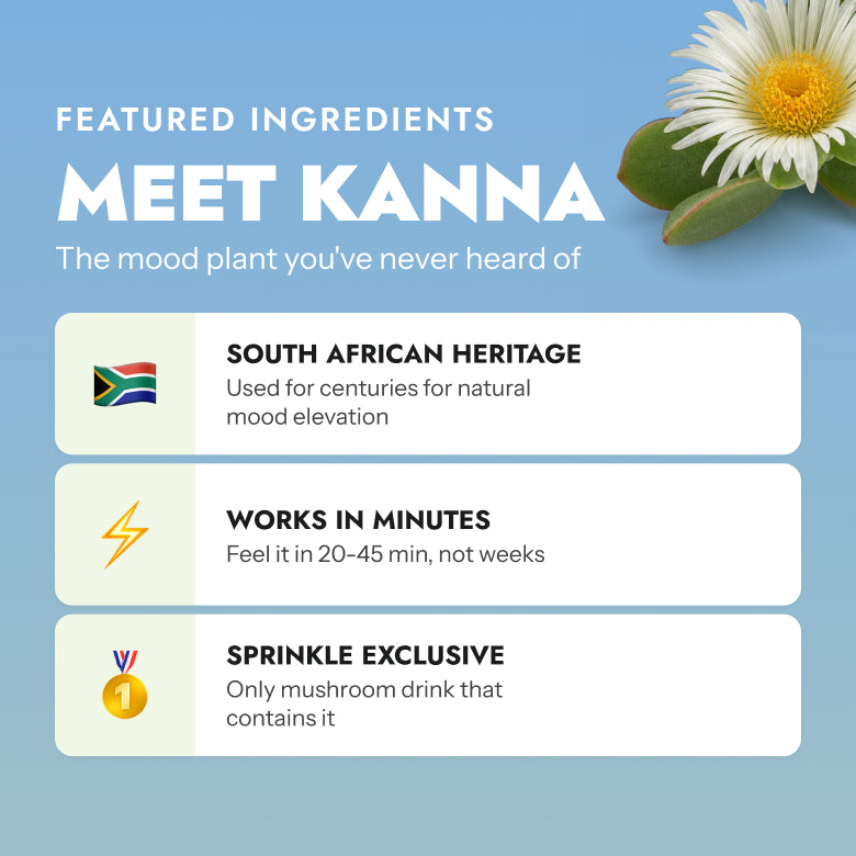 Mood Functional Drink Mix — Feel-Good Energy